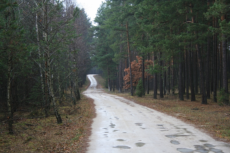 Rostoczek 11.2008 007